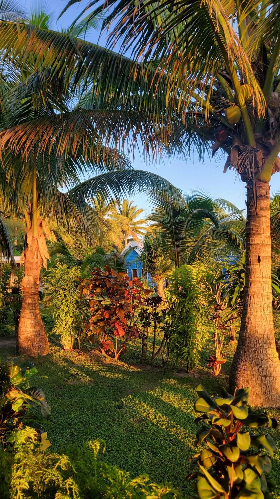 Oarsman'S Bay Lodge Naisisili Dış mekan fotoğraf